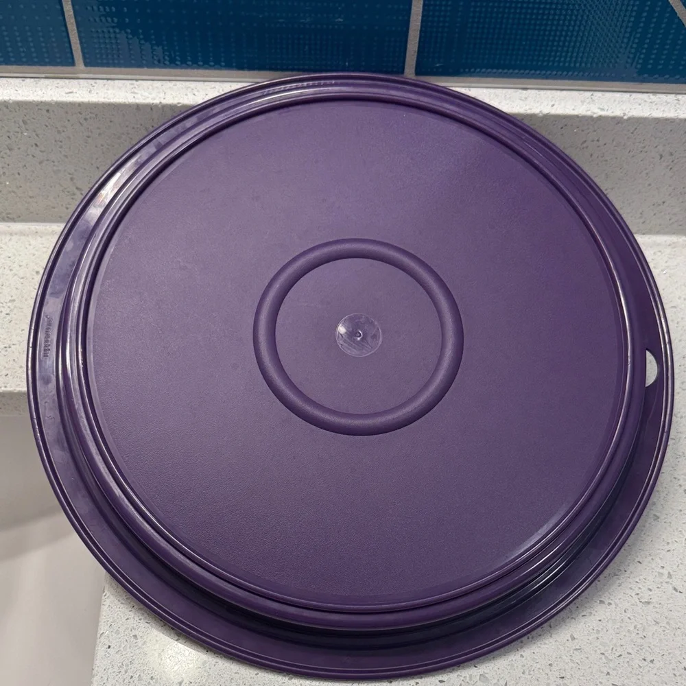 Tupperware Large Serving Tray with Adjustable Divider Sections